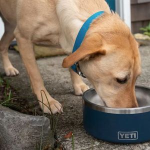 Pet Love_11103223117-yeti-boomer-8-dog-bowl